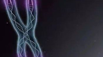 2026年在湖北武汉做试管婴儿的具体流程是怎样的？